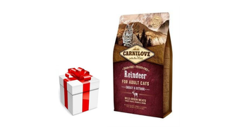 CARNILOVE Cat Reindeer Energy & Outdoor 6kg + sorpresa per il gatto GRATIS