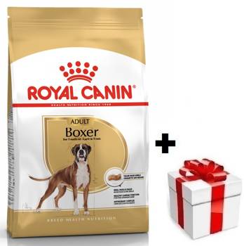 ROYAL CANIN Boxer Adult 12kg + sorpresa per il cane GRATIS