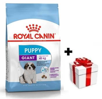 ROYAL CANIN Giant Puppy 15kg + sorpresa per il cane GRATIS