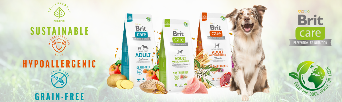Brit Care