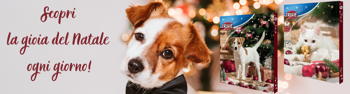 Calendario dell'Avvento 3.11.2025