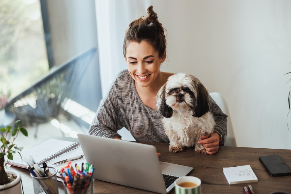 IL CANE IN UFFICIO E LA PRODUTTIVITÀ DEI DIPENDENTI: SCOPRITE COME CREARE UN AMBIENTE FAVOREVOLE AGLI ANIMALI SUL POSTO DI LAVORO