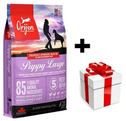 ORIJEN Cucciolo grande 6 kg + sorpresa per il cane
