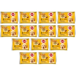 PEDIGREE Junior bustina 13x(4x100g) - Selezione Gusti con Riso in Gelatina, alimento umido completo per cani in crescita (pezzi ricchi di pollo e pezzi ricchi di misto di manzo e fegato)