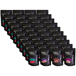 Dolina Noteci Cibo Premium per gatti MIX Gusti 40x85g