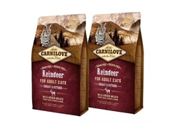 CARNILOVE Cat Reindeer Energy &amp; Outdoor 2x6kg
