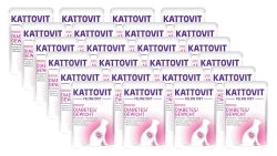 Kattovit Diabetes/Gewicht Salmone 24x85 g bustina