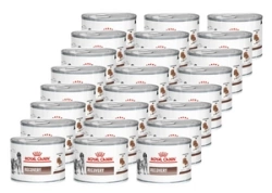 ROYAL CANIN Recovery 24x195g