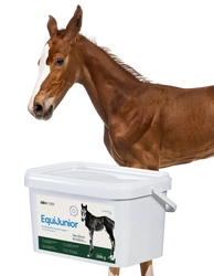 Lab-v EquiJunior - Mangime complementare per puledri, che favorisce la crescita, lo sviluppo e la corretta alimentazione di cavalli e pony giovani 2 kg