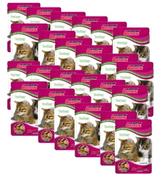 SUPER BENEK Junior Bustina per gatti con pezzi di tacchino 24x100g