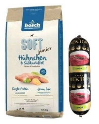 BOSCH Soft Junior Pollo e Patate 12,5kg + Hektor bar per cani GRATIS