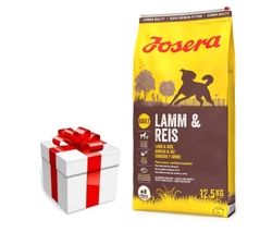 JOSERA Lamb & Rice 12,5kg + sorpresa per il cane GRATIS