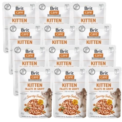 BRIT CARE Cat Kitten Filetti in salsa con salmone piccante  saporiti e arricchiti con olivello spinoso e nasturzio 12x85g