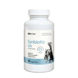 LAB-V Synbiotic Vet - Supporto alla salute gastrointestinale e alla microflora intestinale per cani e gatti 90 capsule