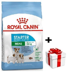 ROYAL CANIN Mini Starter Mother & Babydog 8 kg crocchette per cagne e cuccioli in gravidanza e in allattamento da 4 a 8 settimane di età, di piccola taglia + sorpresa per il cane GRATIS