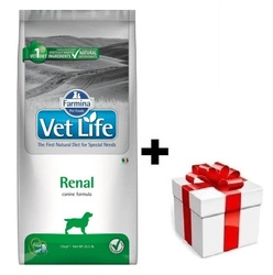 Farmina Vet Life Canine Renal 12kg + sorpresa per il cane GRATIS