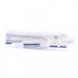 GEULINCX Enteromicro pasta 15 ml