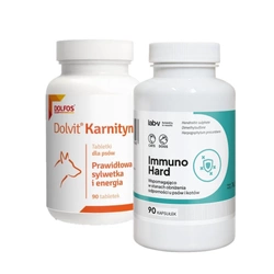 Dolvit Carnitina 90 compresse + LAB-V Immuno Hard – Rafforzamento dell'immunità per cani e gatti 90 capsule