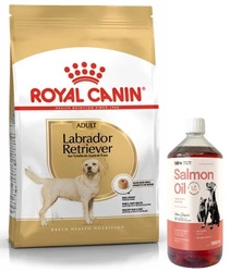 ROYAL CANIN Labrador Retriever Adulto 12kg & LAB V Olio di salmone per cani e gatti 1000ml