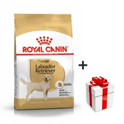ROYAL CANIN Labrador Retriever Adulto 12kg  + sorpresa per il cane