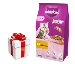 WHISKAS Cibo secco per gattini Junior con pollo 14kg + una sorpresa per il gatto GRATIS