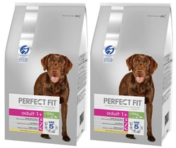 Perfect Fit™ - alimento completo secco per cani adulti di taglia media e grande, ricco di pollo 2x6 kg