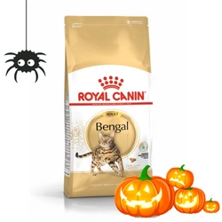 ROYAL CANIN Bengala Adulto 10kg