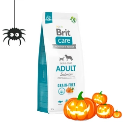 BRIT CARE Grain-free Adult Salmone 12 kg