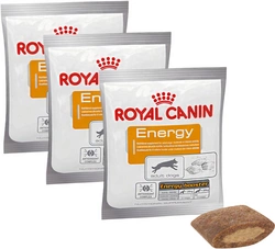 ROYAL CANIN Integratore nutrizionale Energy 10x50g un trattamento salutare per cani adulti e attivi