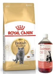 ROYAL CANIN British Shorthair Adulto 10kg + LAB V Olio di Salmone per cani e gatti 1000ml