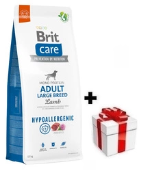 BRIT CARE Dog Hypoallergenic Adult Large Breed Agnello 12 kg + sorpresa per il cane GRATIS