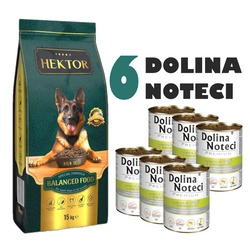 HEKTOR BALANCED Adult 15kg + Dolina Noteci Premium Oca con patate 6x400g