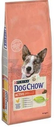 Purina Dog Chow Adulto attivo con pollo 14kg