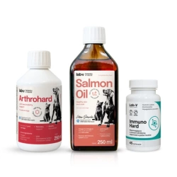 Set regalo per cani: articolazioni sane, immunità e pelo lucente