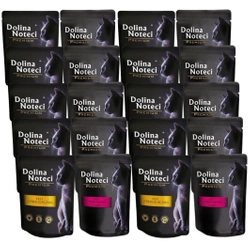Dolina Noteci Filetto di petto Premium Mix di Sapori per gatti 20x85g