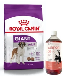 ROYAL CANIN Giant Adult 15kg + LAB V Olio di Salmone per cani e gatti 1000ml