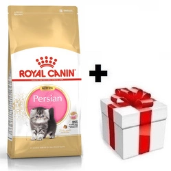 ROYAL CANIN Persian Kitten 10kg + sorpresa per il gatto GRATIS