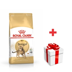 ROYAL CANIN Bengala Adulto 10kg + sorpresa per il gatto
