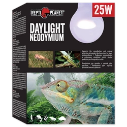 RP Lampadina al neodimio  Daylight 25W