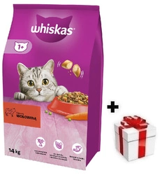 WHISKAS Cibo secco per gatti 1+ con manzo 14kg + sorpresa per il cane GRATIS