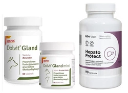 Dolfos Dolvit Gland Mini 60tab + LAB-V Hepato Protect – Supporta la funzionalità epatica per cani e gatti 90 capsule