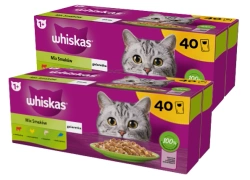 WHISKAS Adult bustine 80 x 85 g Gusti misti - cibo umido per gatti adulti in gelatina (tagli con: manzo, pollo, salmone, tonno)