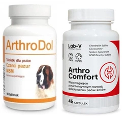 Dolfos ArthroDol 90 Compresse +LAB-V Arthro Comfort – Supporto completo per la salute delle articolazioni e del sistema muscolo-scheletrico per cani e gatti, 45 capsule