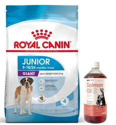 ROYAL CANIN Giant Junior 15kg + LAB V Olio di Salmone per cani e gatti 1000ml