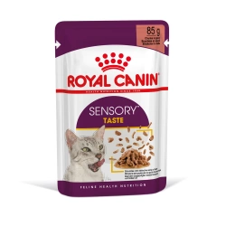 ROYAL CANIN Sensory Taste cibo umido, pezzi in salsa 12x85g