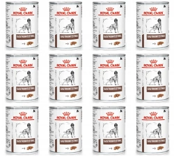 ROYAL CANIN Gastrointestinal 400g x12