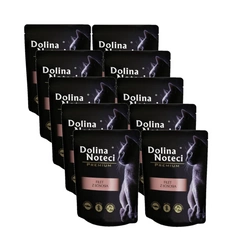 Dolina Noteci Premium Filetto di gatto con salmone in salsa 10x85g
