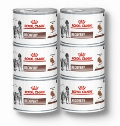 ROYAL CANIN Recovery 195g x6