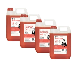 Lab-V Olio di Salmone 100% Per Cani e Gatti di Tutte le Età 4x5000 ml (20L) Pressato a Freddo