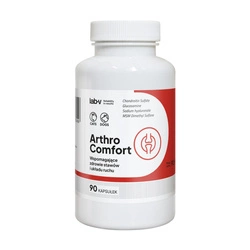 LAB-V Arthro Comfort - Supporto completo per la salute delle articolazioni e dell'apparato muscolo-scheletrico di cani e gatti 90 capsule